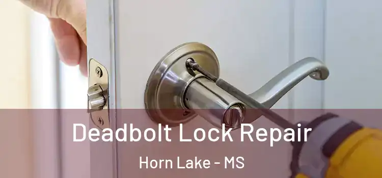  Deadbolt Lock Repair Horn Lake - MS