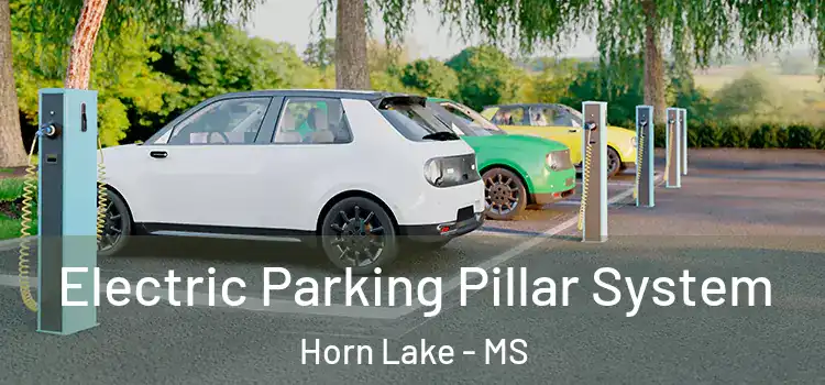  Electric Parking Pillar System Horn Lake - MS