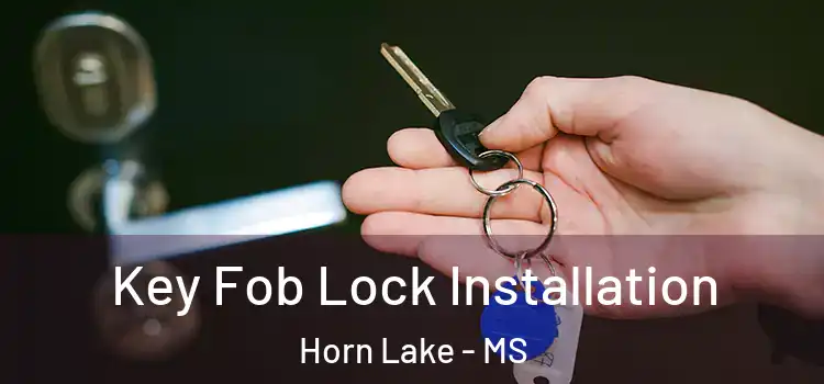  Key Fob Lock Installation Horn Lake - MS